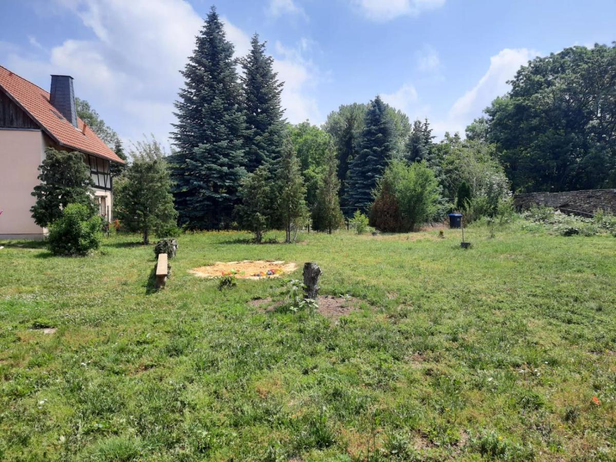 Villa Windschief Thale Kültér fotó