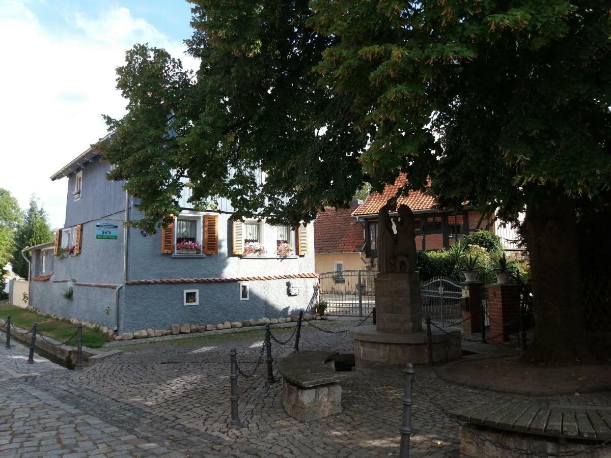 Villa Windschief Thale Kültér fotó